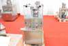 Zp-9B Zp-9 Zp12 Zp12B 9 12 perfora la máquina rotatoria de la prensa de la píldora de la tableta