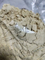 Molinillo de polvo de hierba rotatorio de acero inoxidable XL-88, molinillo de menta, molinillo de martillo, molinillo de hoja de hierba pulverizadora, máquina de molienda